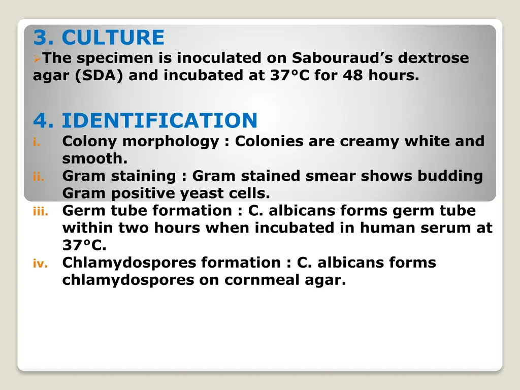 3 culture the specimen is inoculated on sabouraud