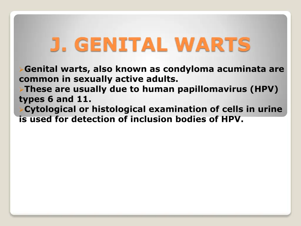 j genital warts