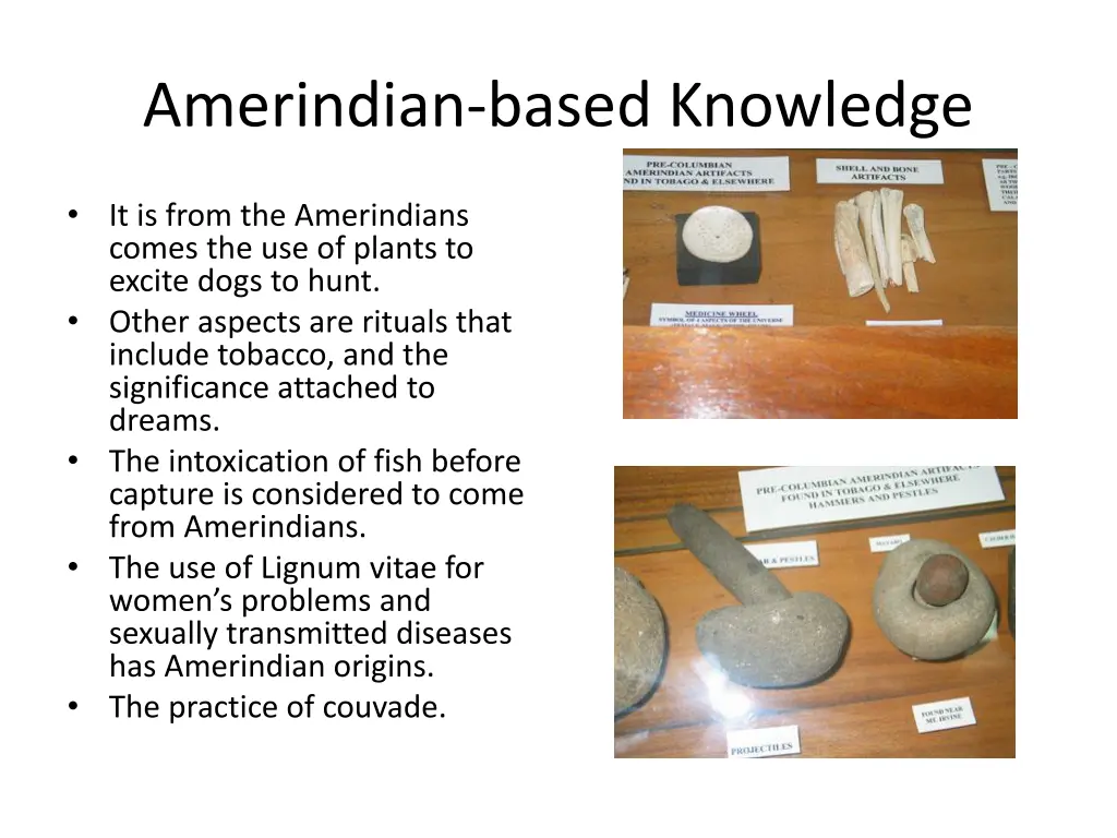 amerindian based knowledge