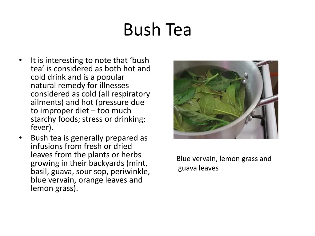 bush tea