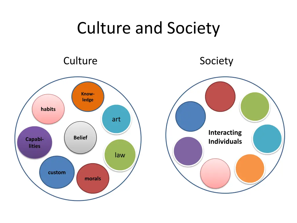 culture and society