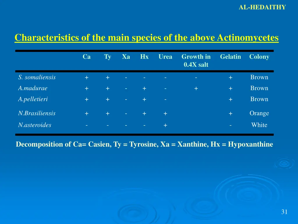 al hedaithy 22