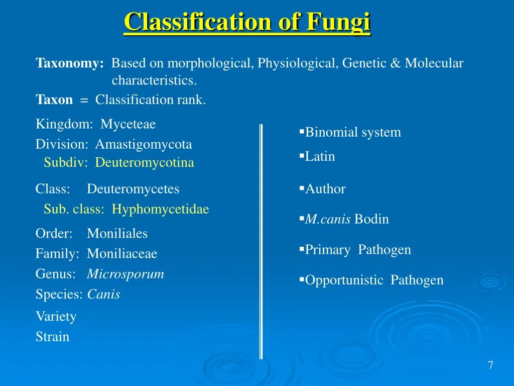 classification of fungi