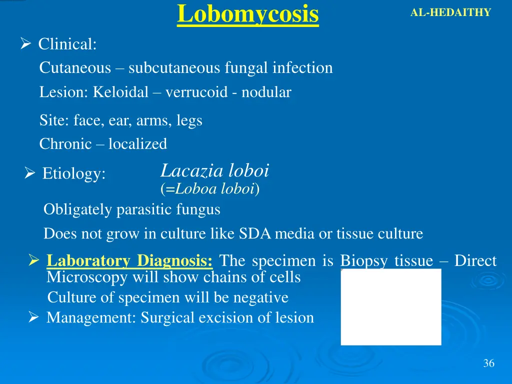 lobomycosis