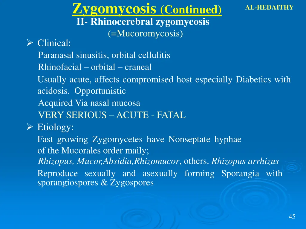 zygomycosis continued ii rhinocerebral