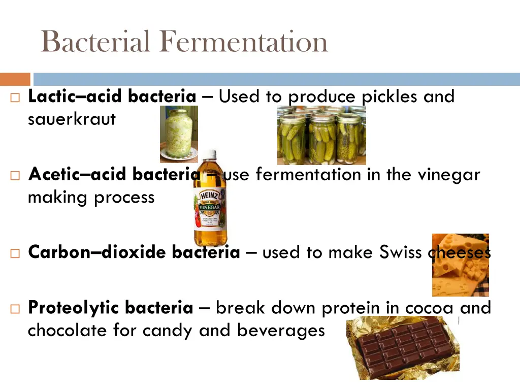 bacterial fermentation