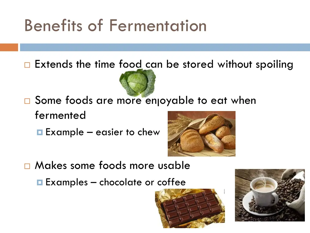 benefits of fermentation