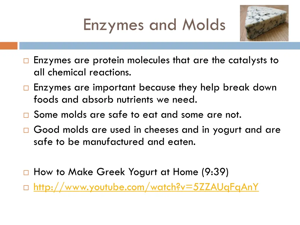 enzymes and molds