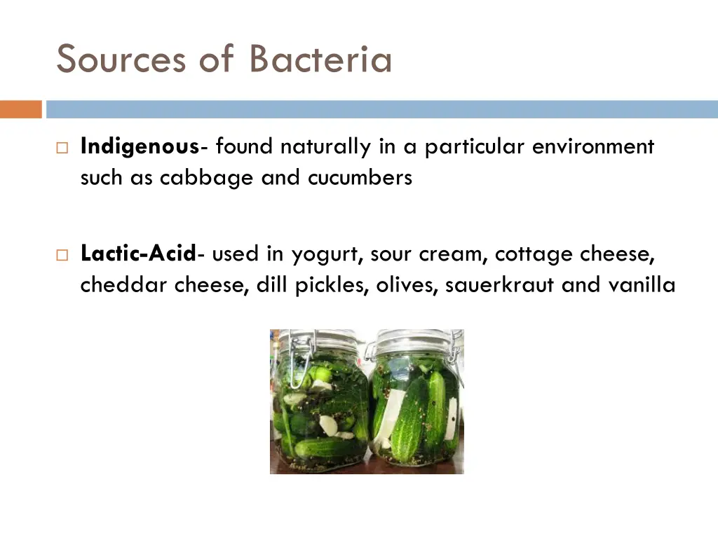 sources of bacteria