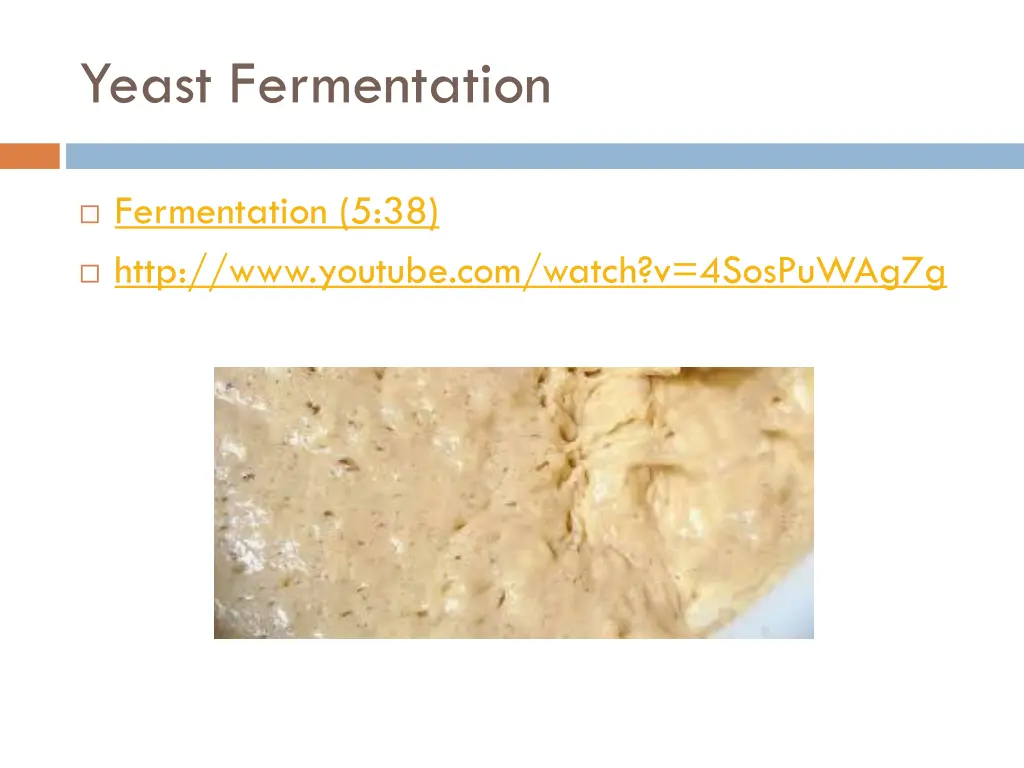 yeast fermentation