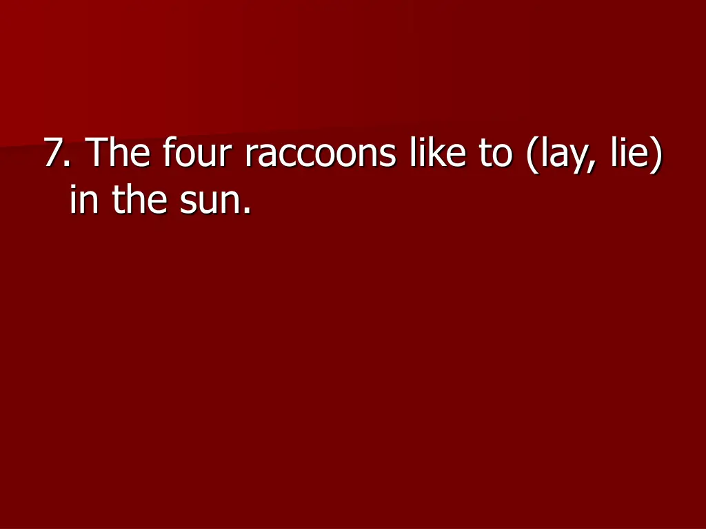 7 the four raccoons like to lay lie in the sun