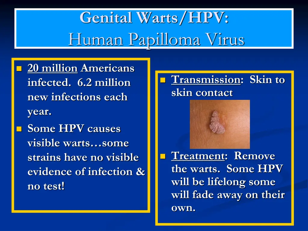 genital warts hpv human papilloma virus