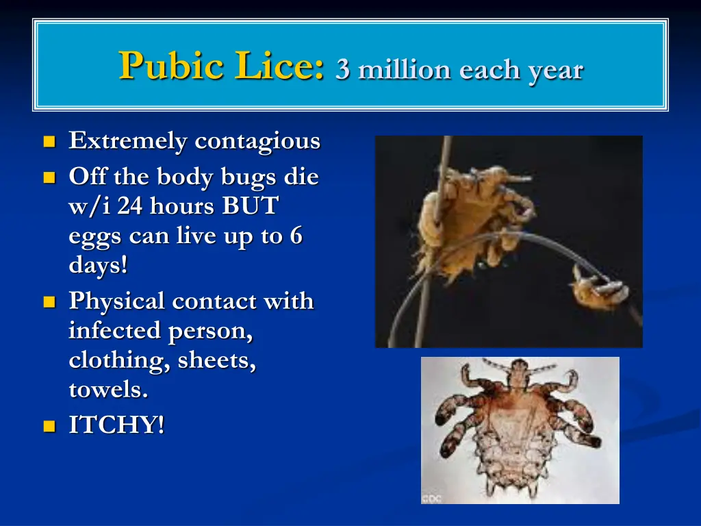 pubic lice 3 million each year