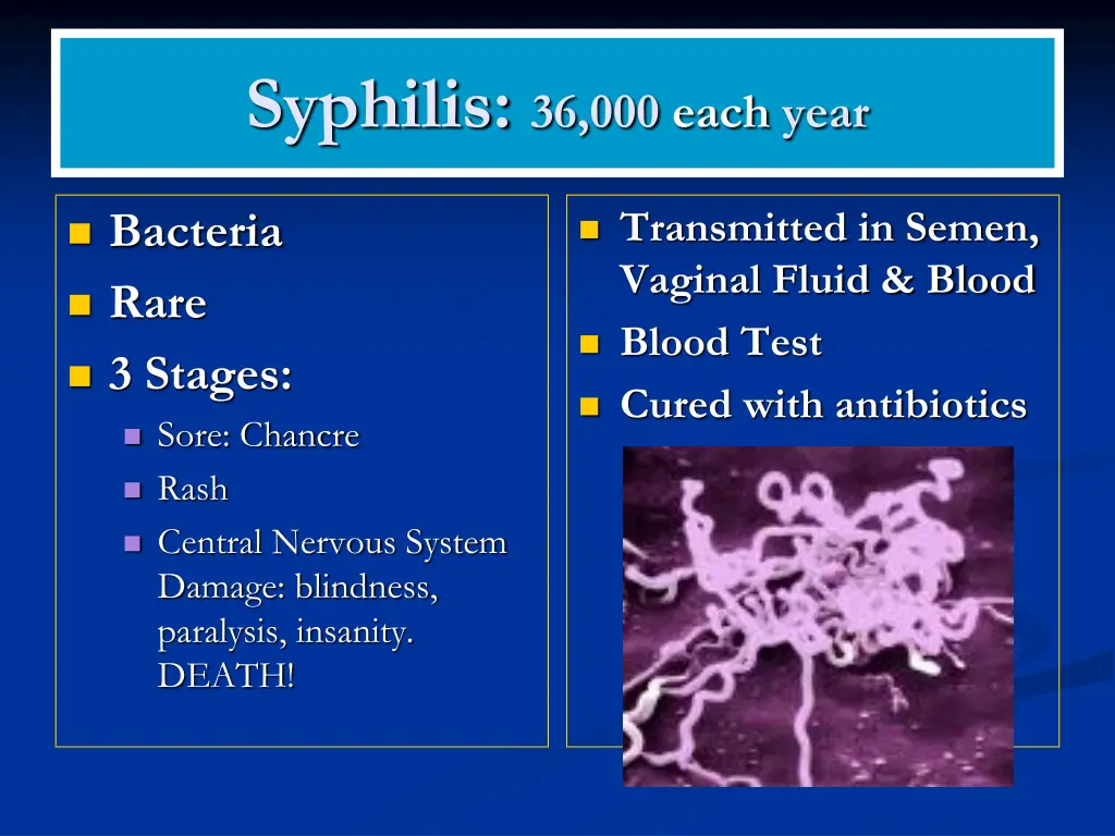 syphilis 36 000 each year