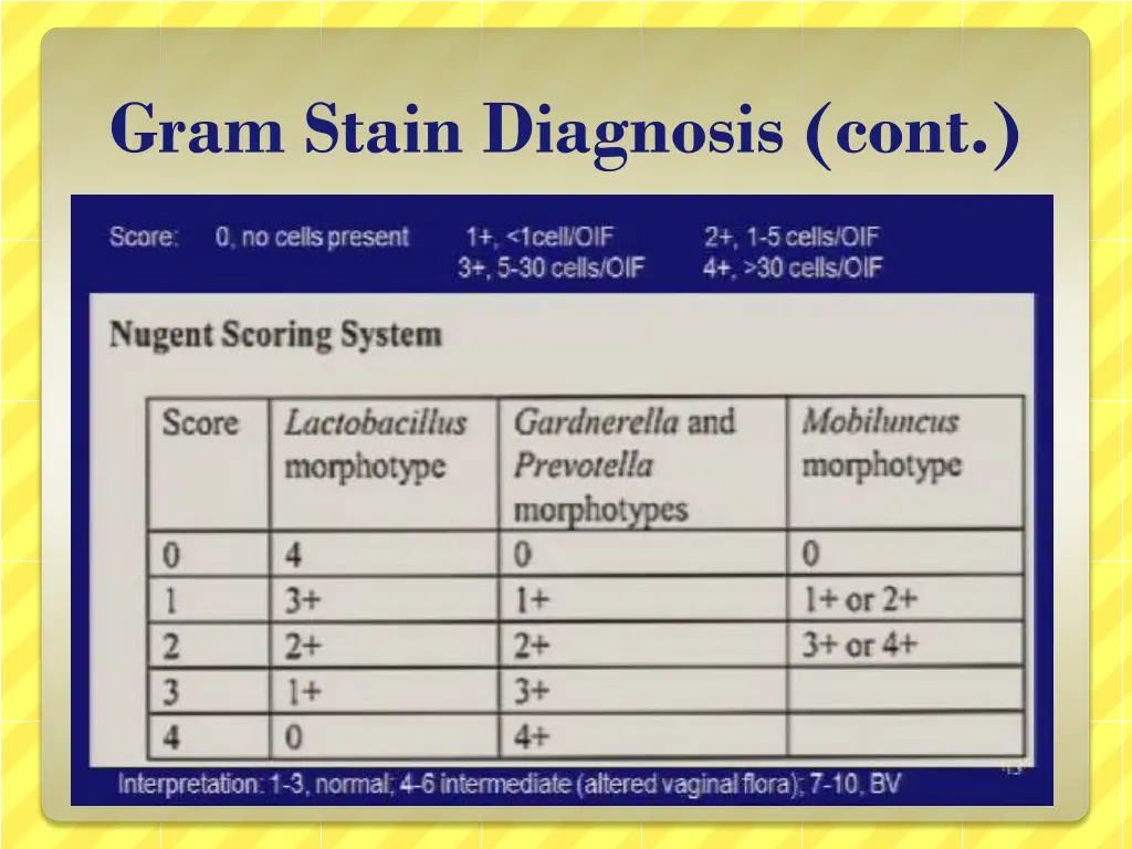 gram stain diagnosis cont