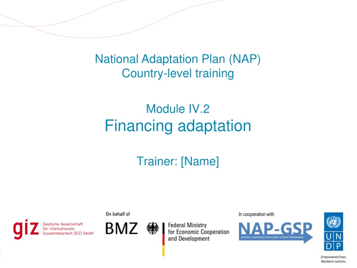 national adaptation plan nap country level