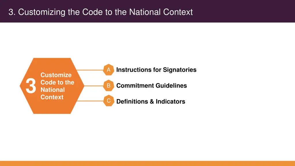 3 customizing the code to the national context