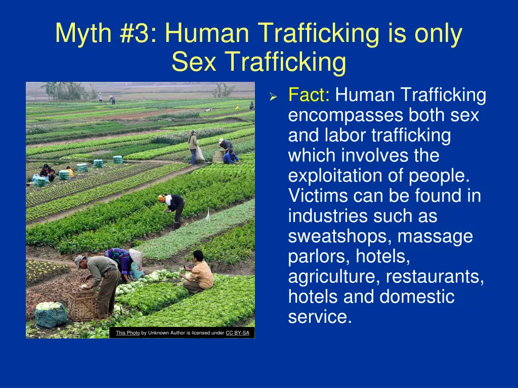 myth 3 human trafficking is only sex trafficking