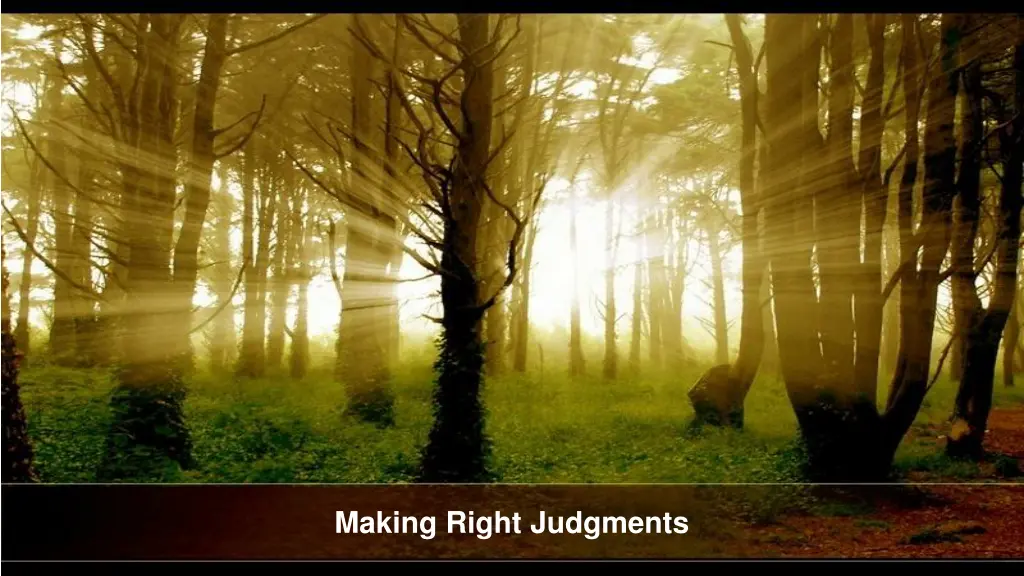 making right judgments