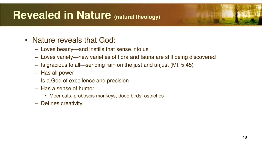 revealed in nature natural theology