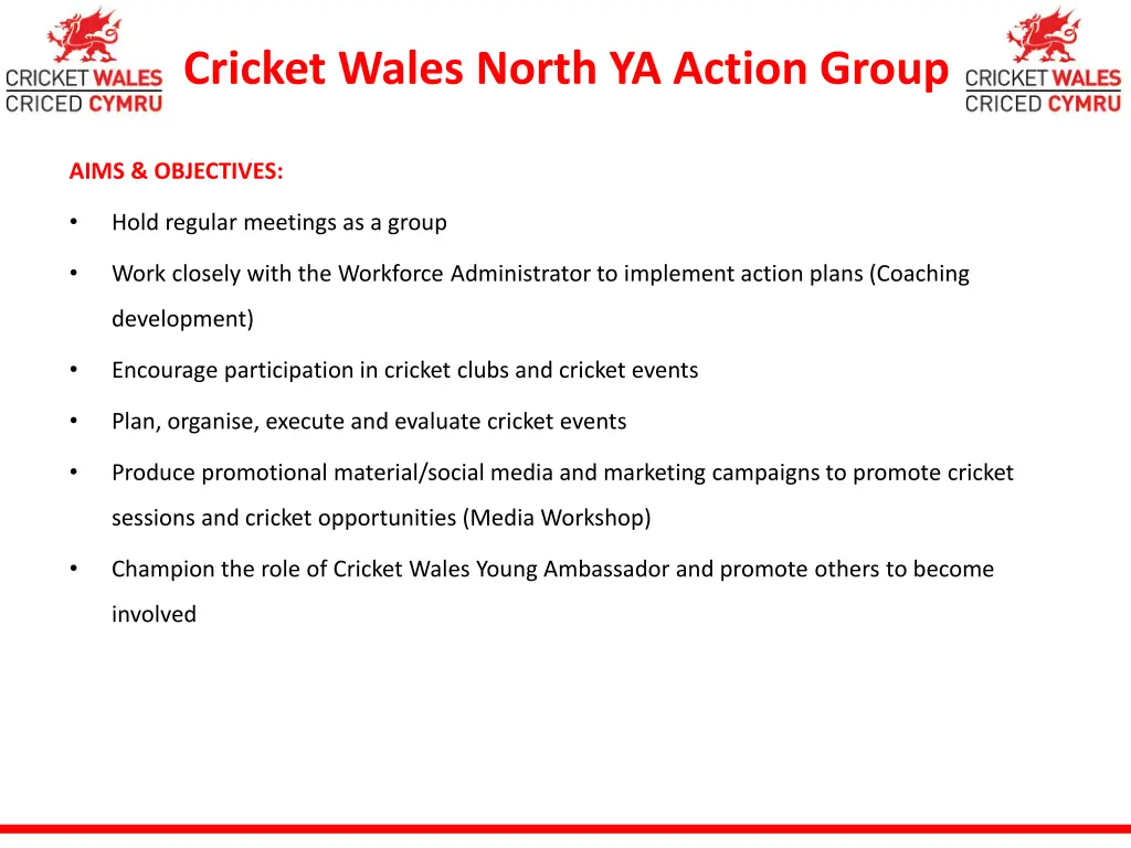 cricket wales north ya action group