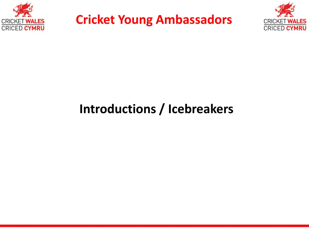 cricket young ambassadors