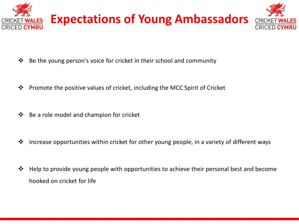 expectations of young ambassadors