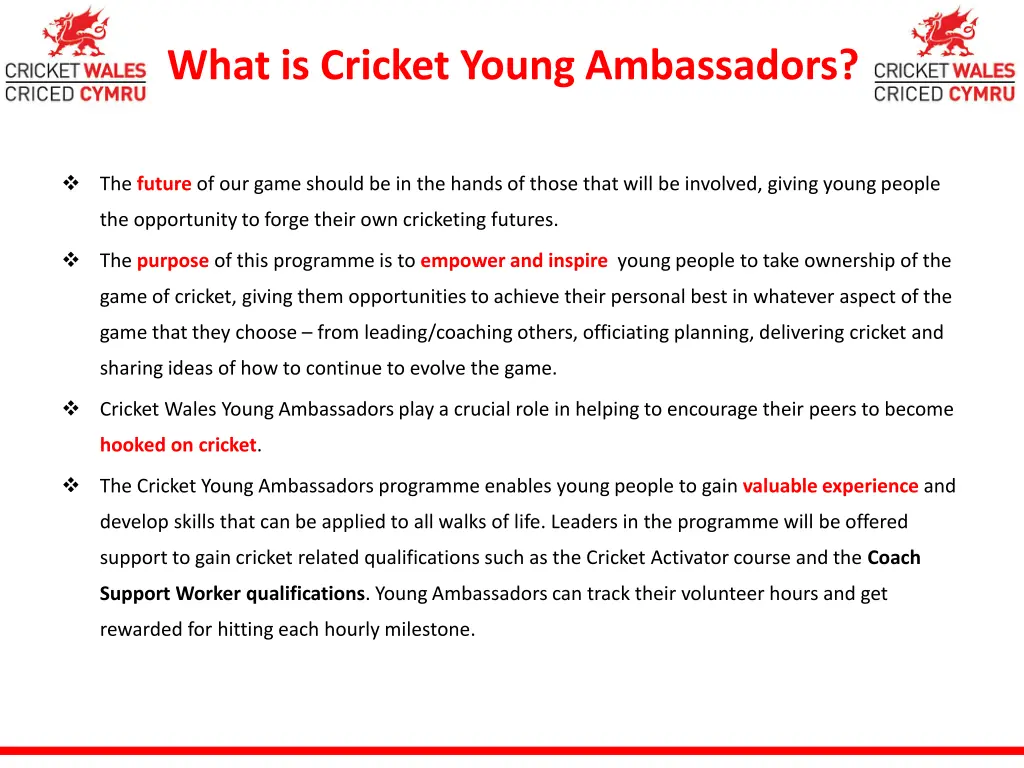 what is cricket young ambassadors