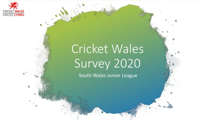 cricket wales survey 2020 south wales junior