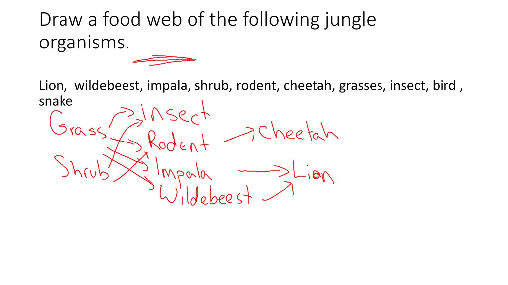 draw a food web of the following jungle organisms