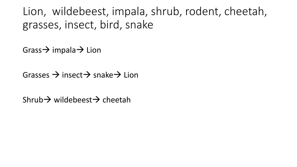 lion wildebeest impala shrub rodent cheetah