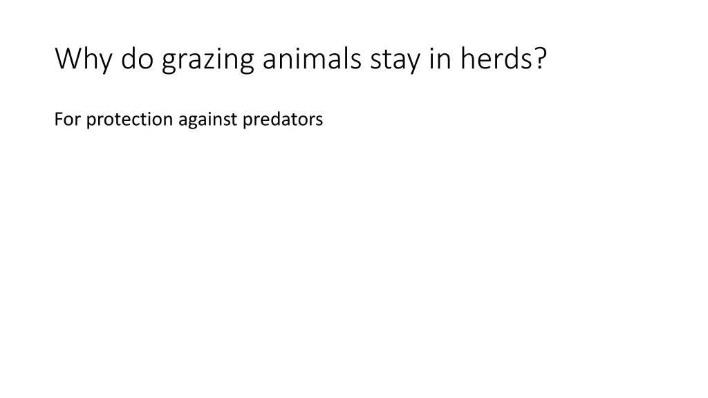 why do grazing animals stay in herds