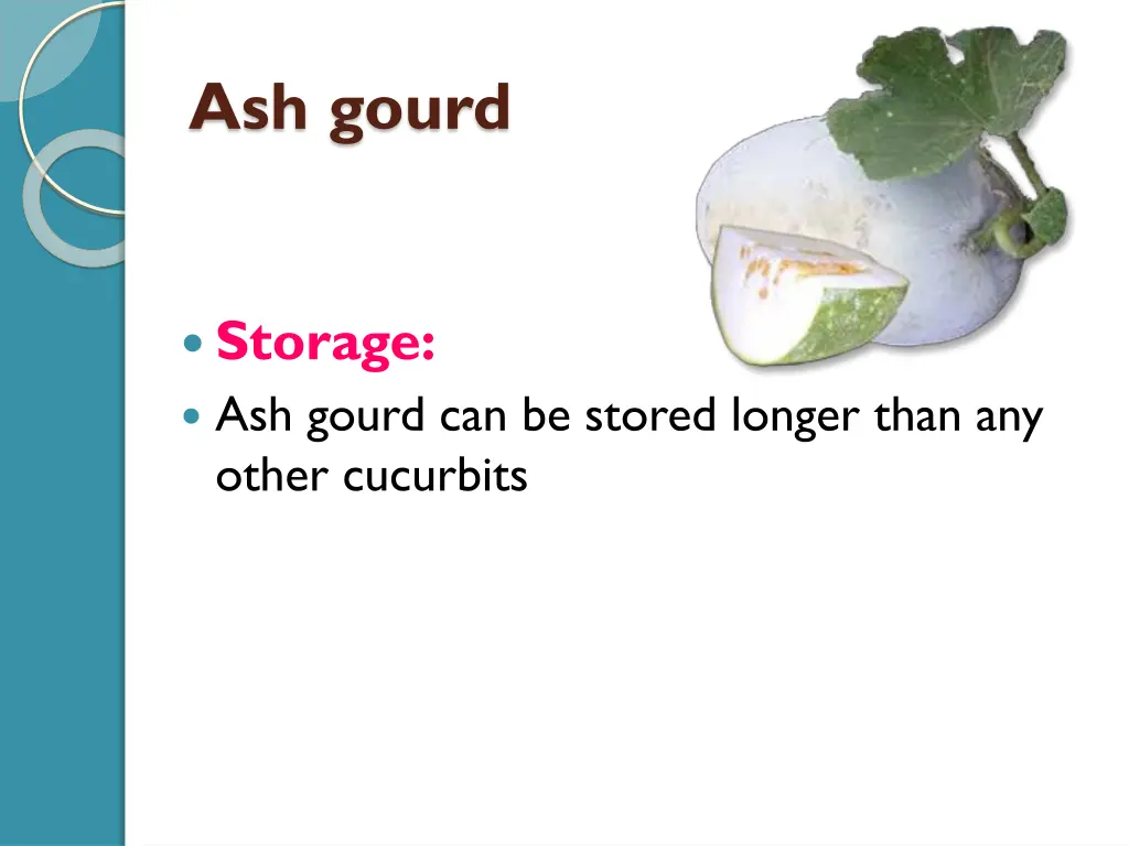 ash gourd