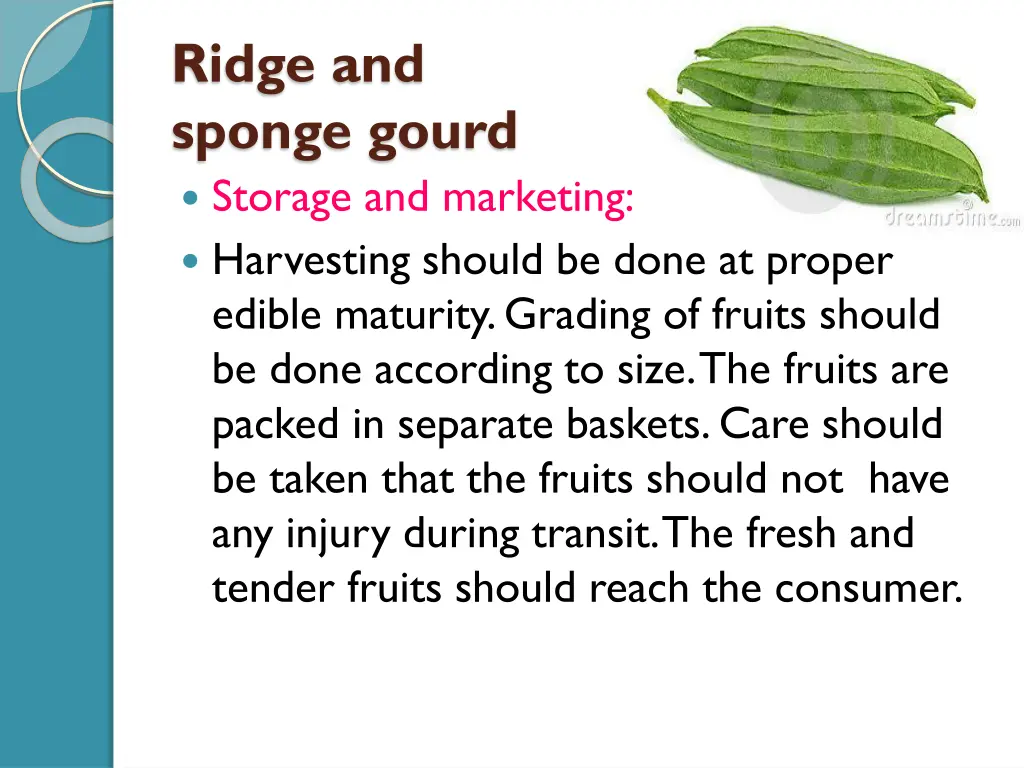 ridge and sponge gourd storage and marketing