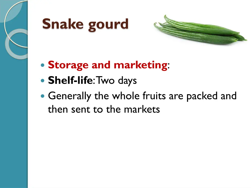 snake gourd