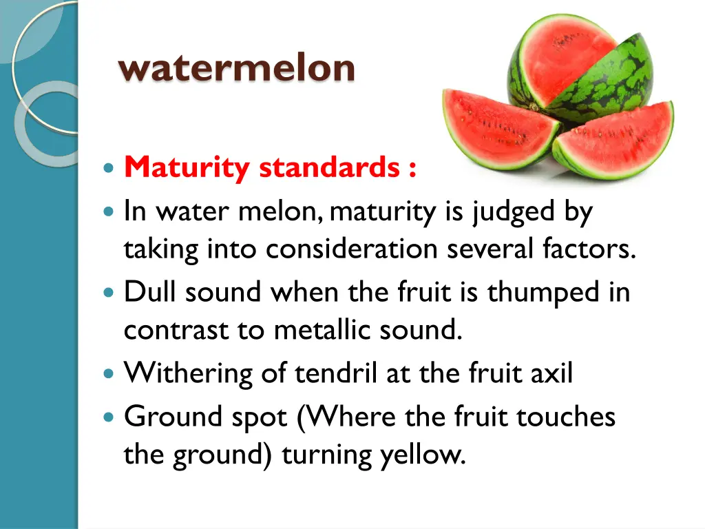 watermelon