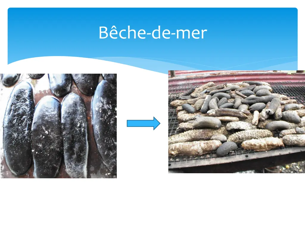 b che de mer