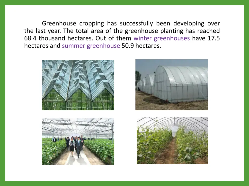 greenhouse cropping has successfully been