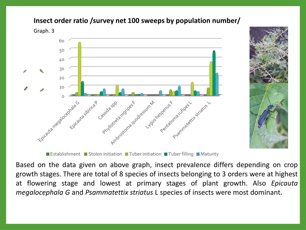 insect order ratio survey net 100 sweeps