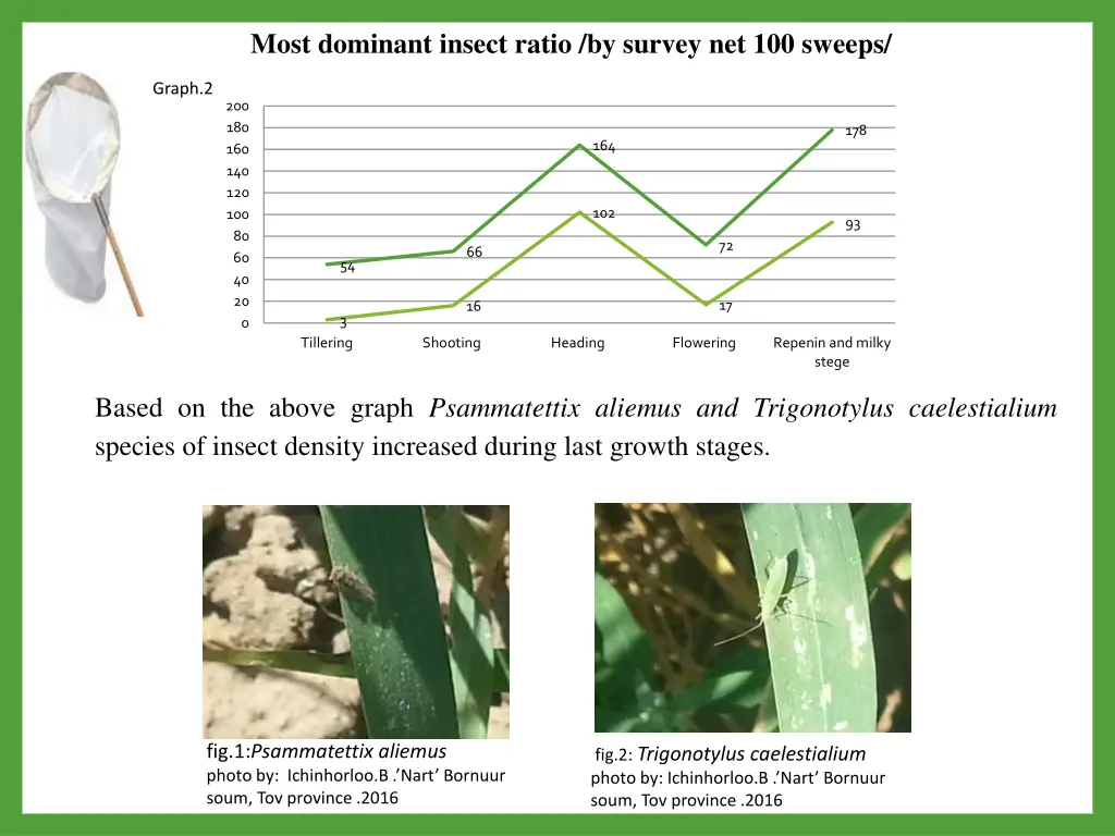 most dominant insect ratio by survey