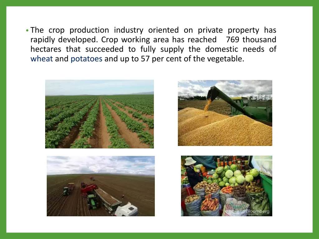 the crop production industry oriented on private