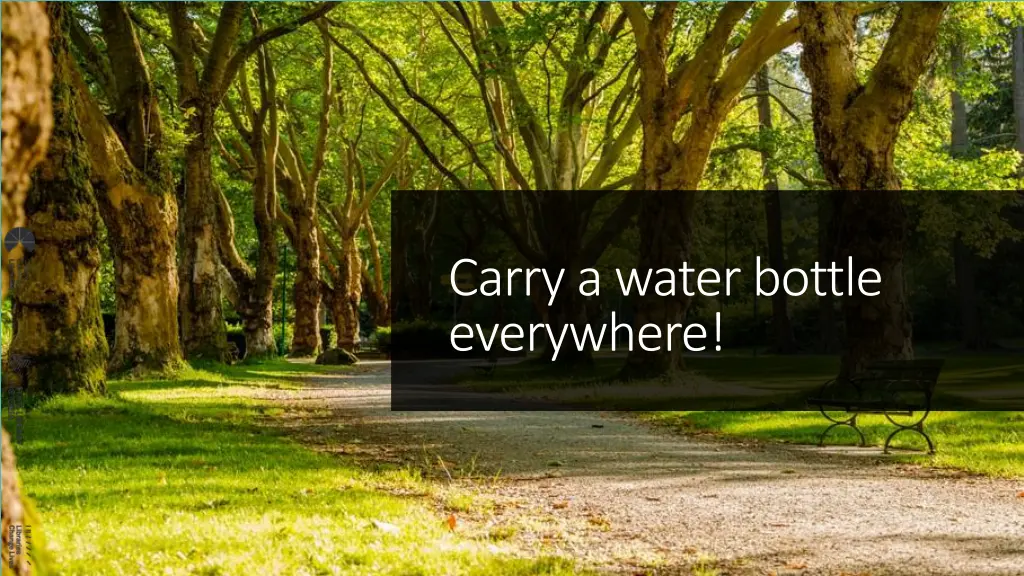 carry a water bottle everywhere