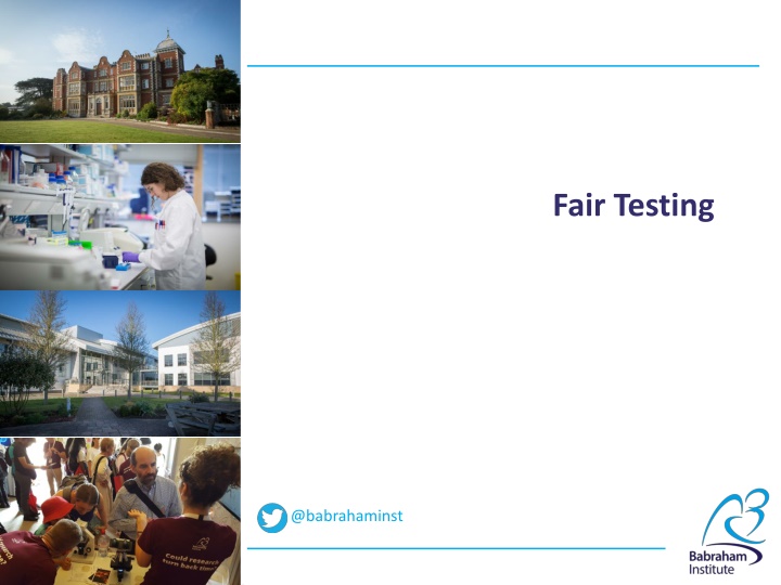 fair testing