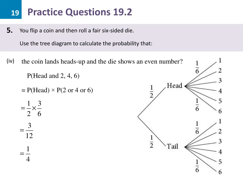 19 practice questions 19 2 11