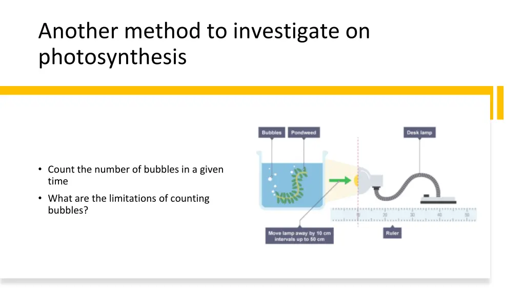 another method to investigate on photosynthesis