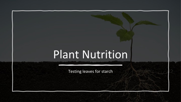 plant nutrition