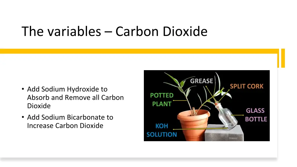 the variables carbon dioxide