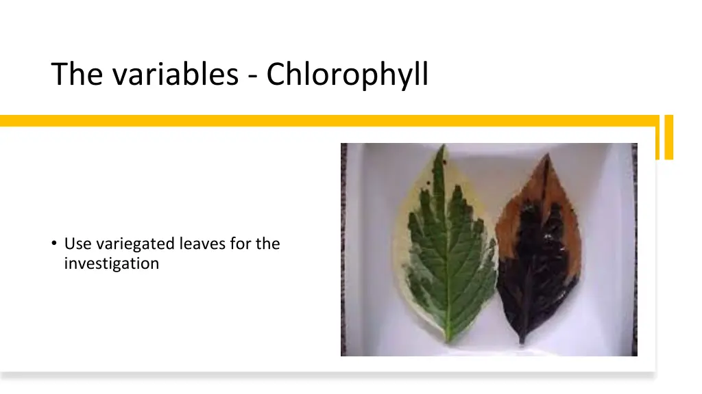 the variables chlorophyll