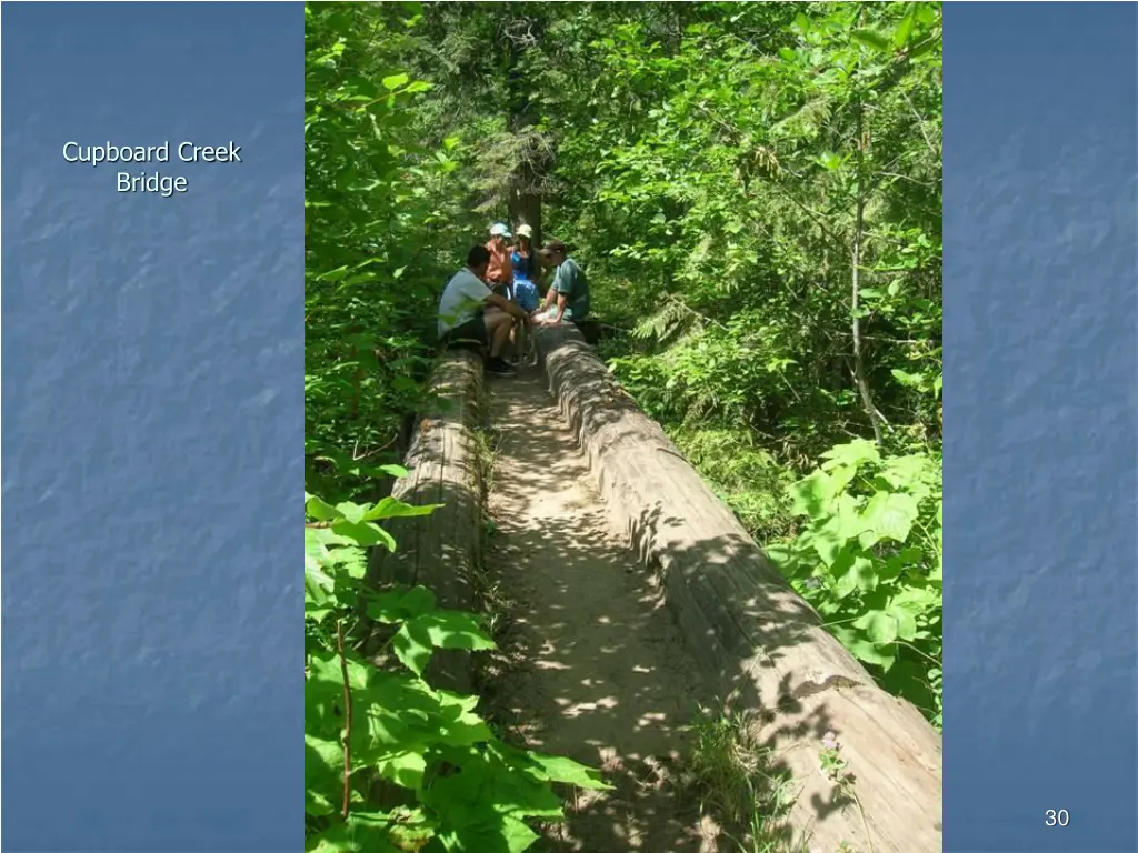 cupboard creek bridge