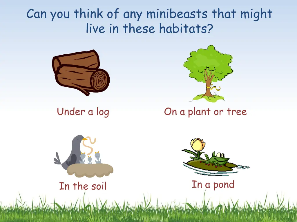 can you think of any minibeasts that might live